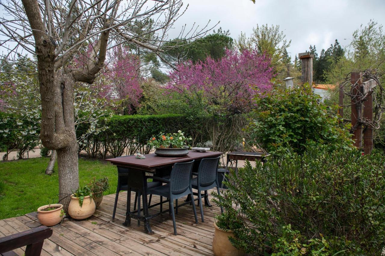 Villa Suzanna In Odem Extérieur photo